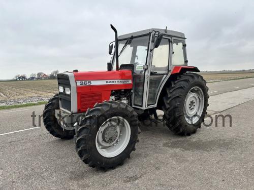 Massey Ferguson 365 karta techniczna i opinia